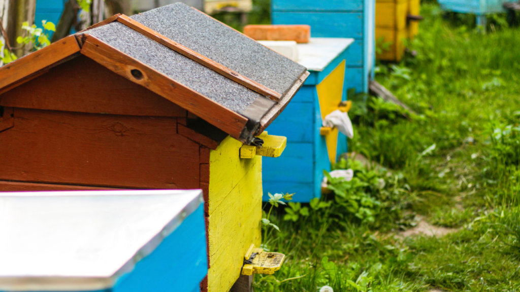 The Buzz On Beekeeping How To Get Started Villa Carmen Bees