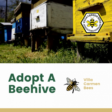 Adopt A Beehive