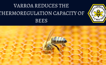 VARROA REDUCES THE THERMOREGULATION CAPACITY OF BEES