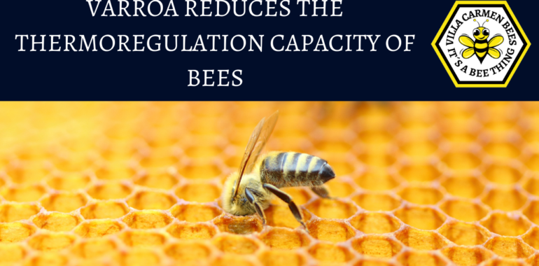 VARROA REDUCES THE THERMOREGULATION CAPACITY OF BEES