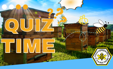 The Monthly Beekeeping Quiz October (Part 2)