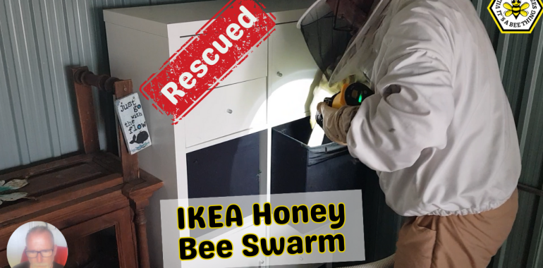 IKEA shelf unit swarm removal