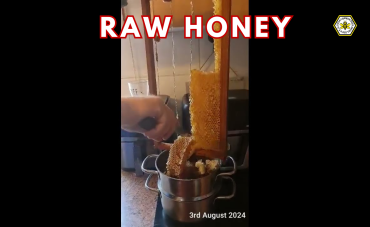 Raw Honey In August