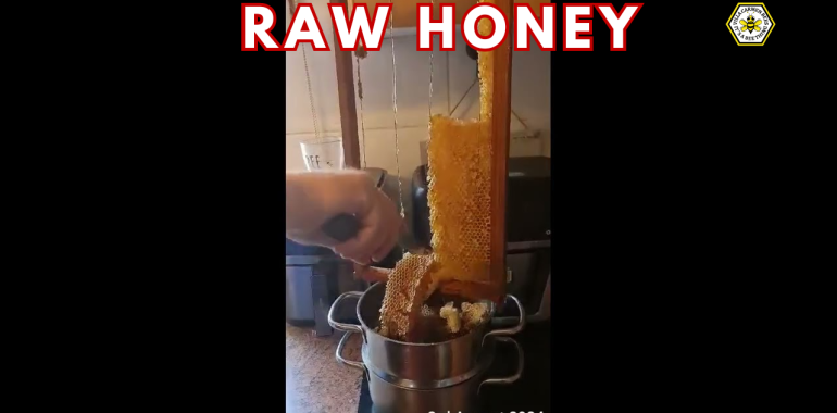 Raw Honey In August