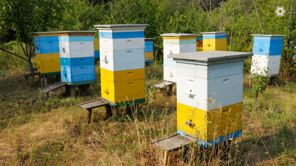 build a langstroth beehive