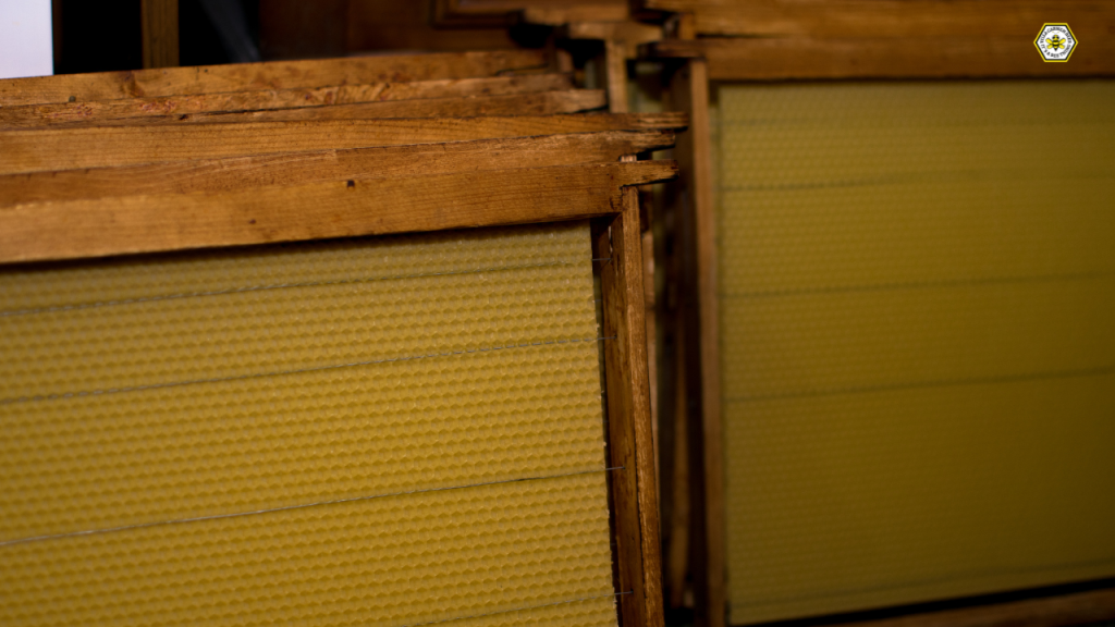 wax foundation on a beehive frame