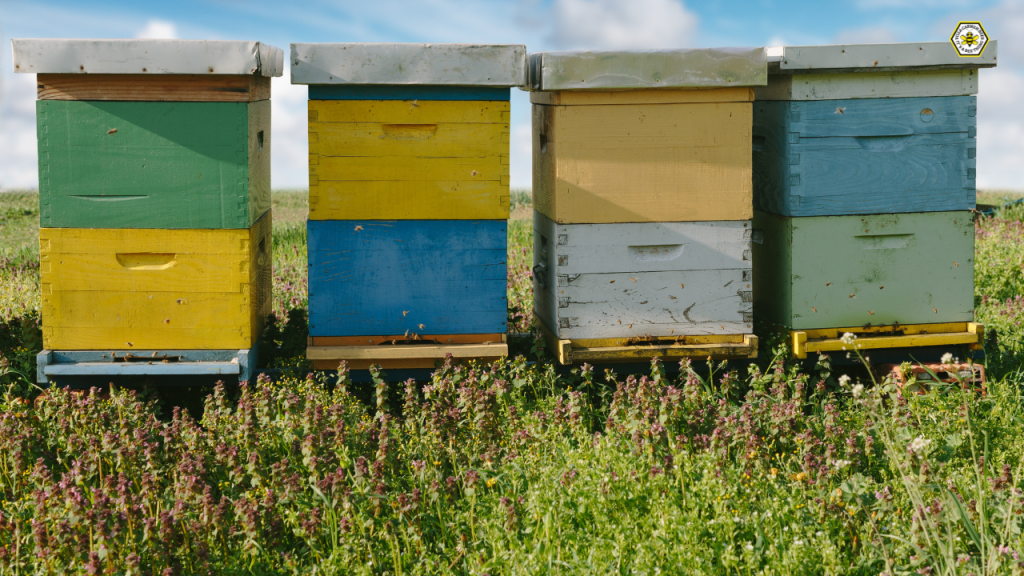 traditionally painted build a langstroth beehive